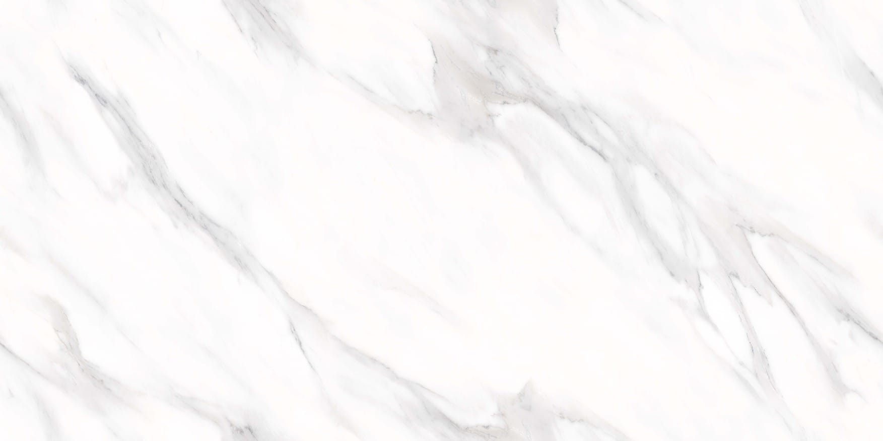 Swizer White - Image 4