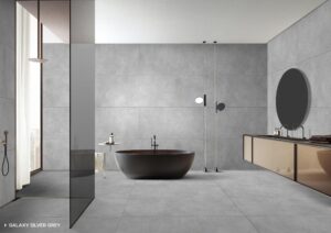 Galaxy Silver Grey