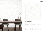 Splinter White