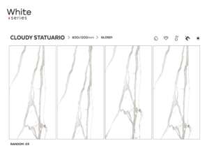 Cloudy Statuario