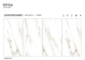 Levis Statuario
