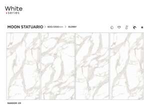 Moon Statuario