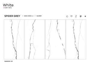 Spider Grey
