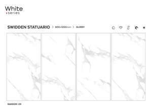 Swidden Statuario