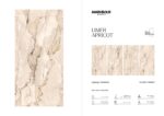Limer Apricot