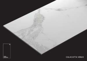 Calacatta Venus