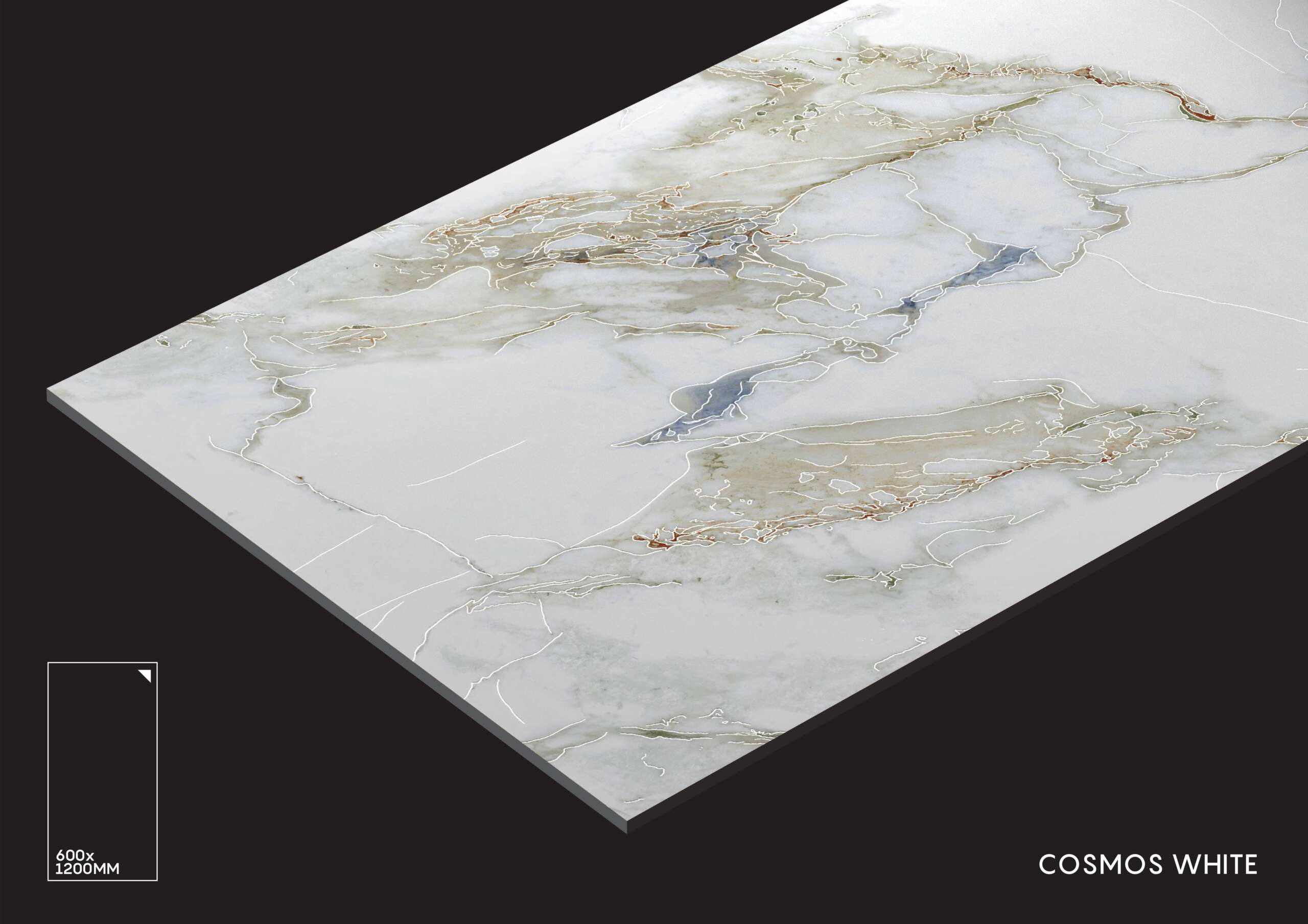 Cosmos White