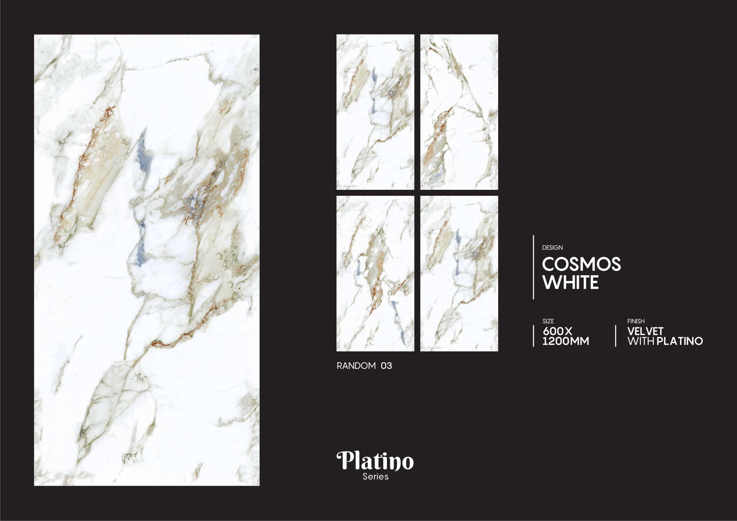 Cosmos White - Image 2