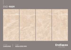 END-9009